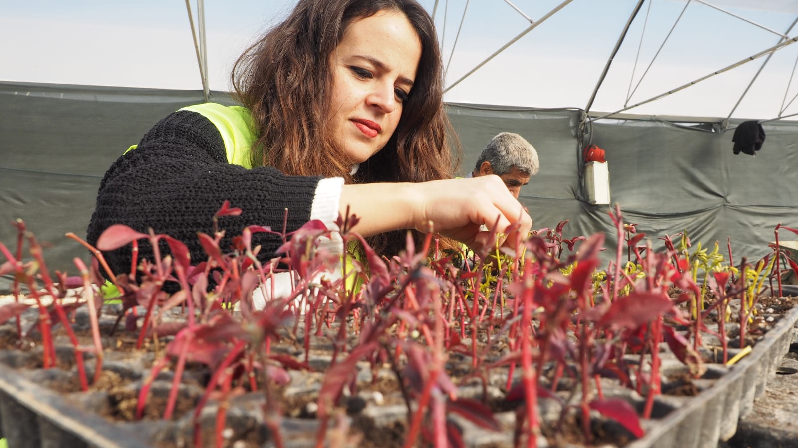 HBB URETIYOR HATAY GUZELLESIYOR 6