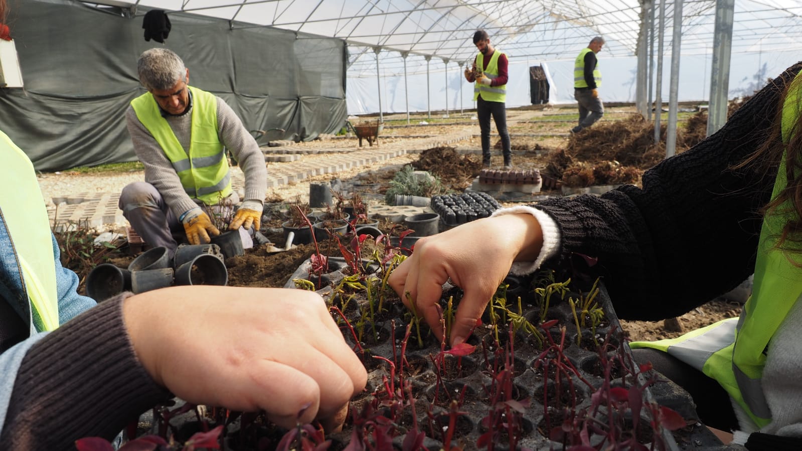 HBB URETIYOR HATAY GUZELLESIYOR 8