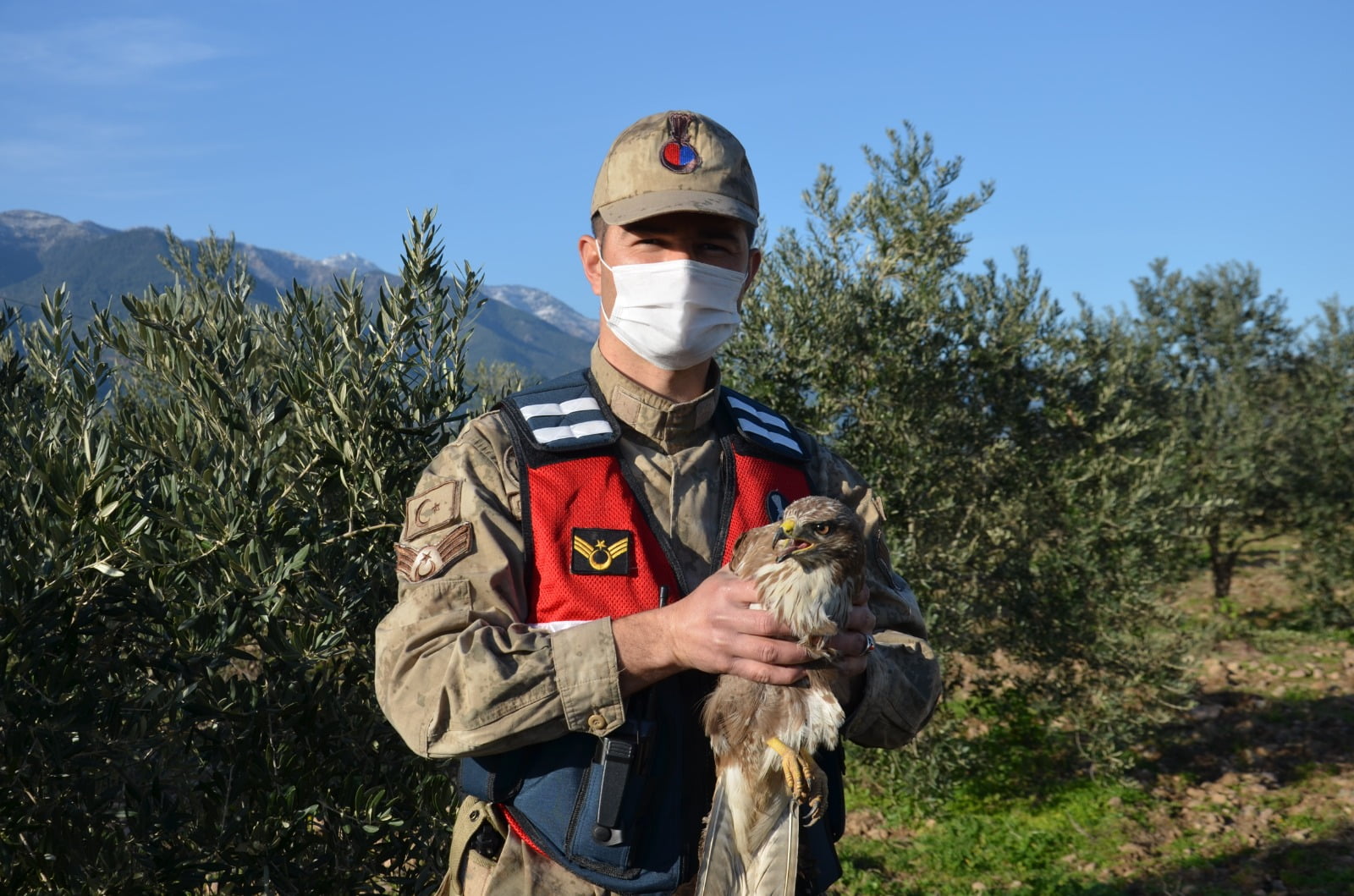 yarali kus 2 yarali kus 2