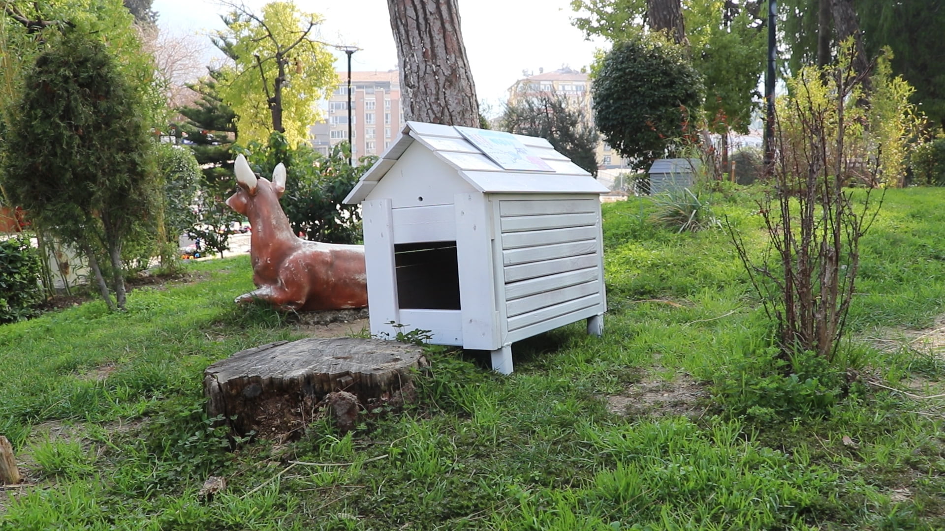 HBBDEN MINIK DOSTLARA SICAK YUVA 11
