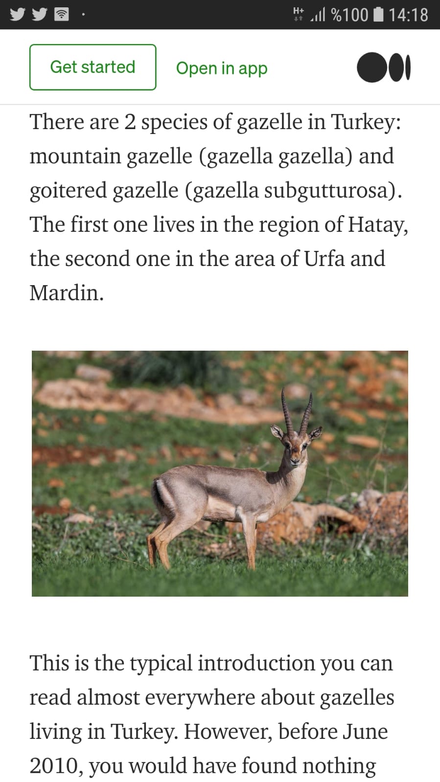 EXPO 2021 MASKOTLARINA YURT DISINDA BUYUK ILGI VAR 4