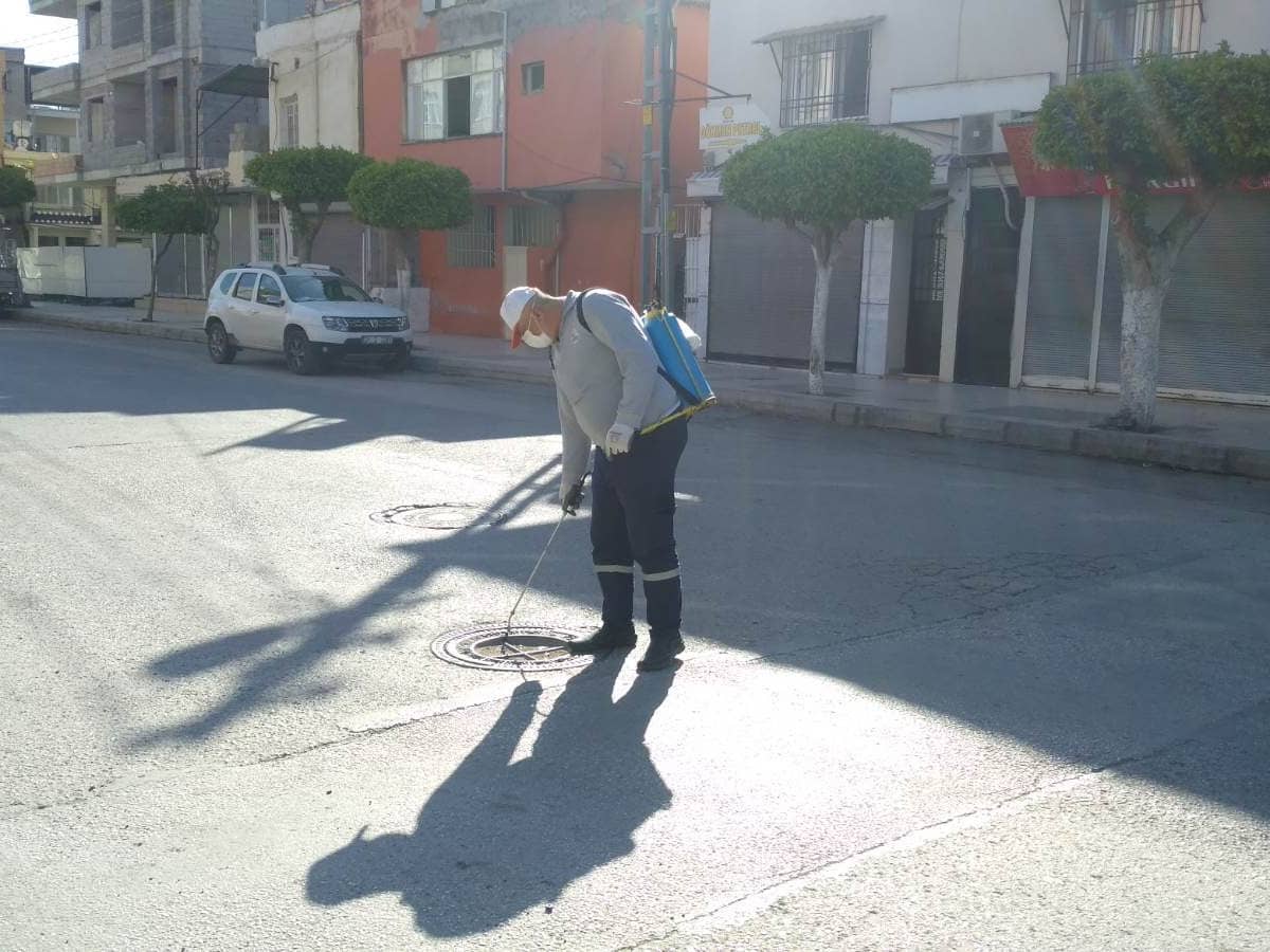 BAŞKAN TOSYALI:LARVA İLE MÜCADELEMİZ DEVAM EDİYOR