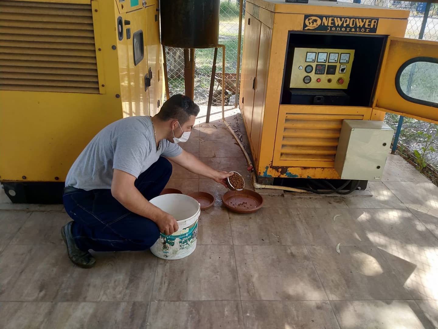 İSKENDERUN BELEDİYESİ SOKAĞA ÇIKMA KISITLAMASINDA SOKAK HAYVANLARINI UNUTMUYOR