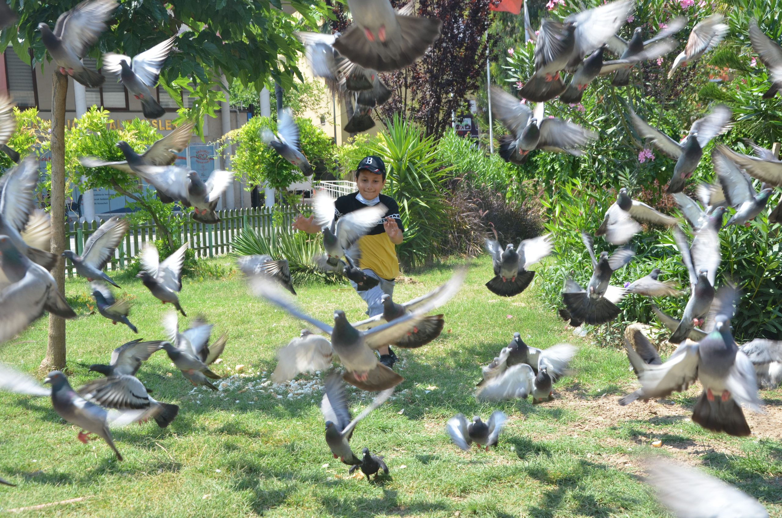 Çocuklar Özgürlüğe Kanat Çırpıyor