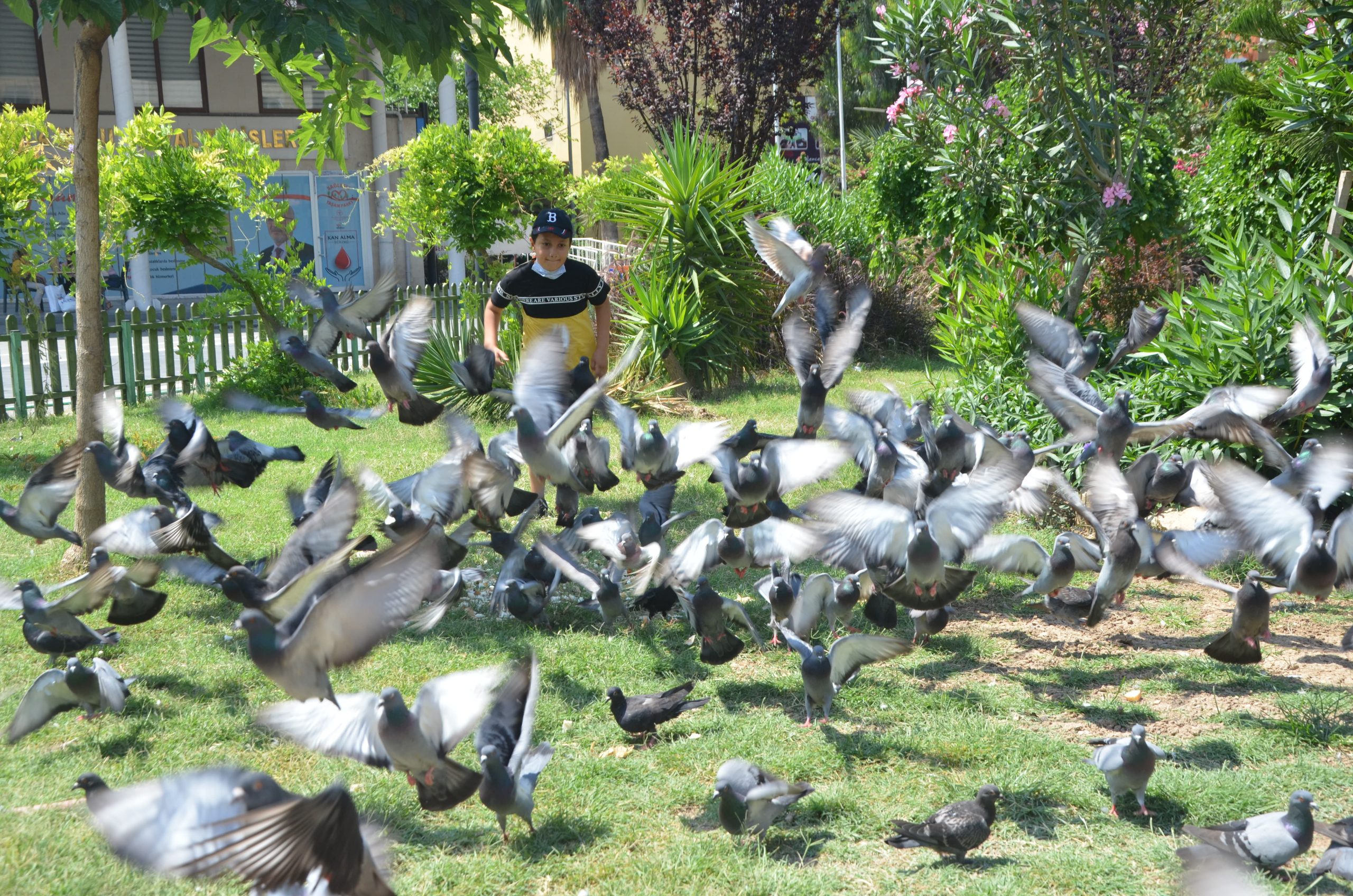 Çocuklar Özgürlüğe Kanat Çırpıyor
