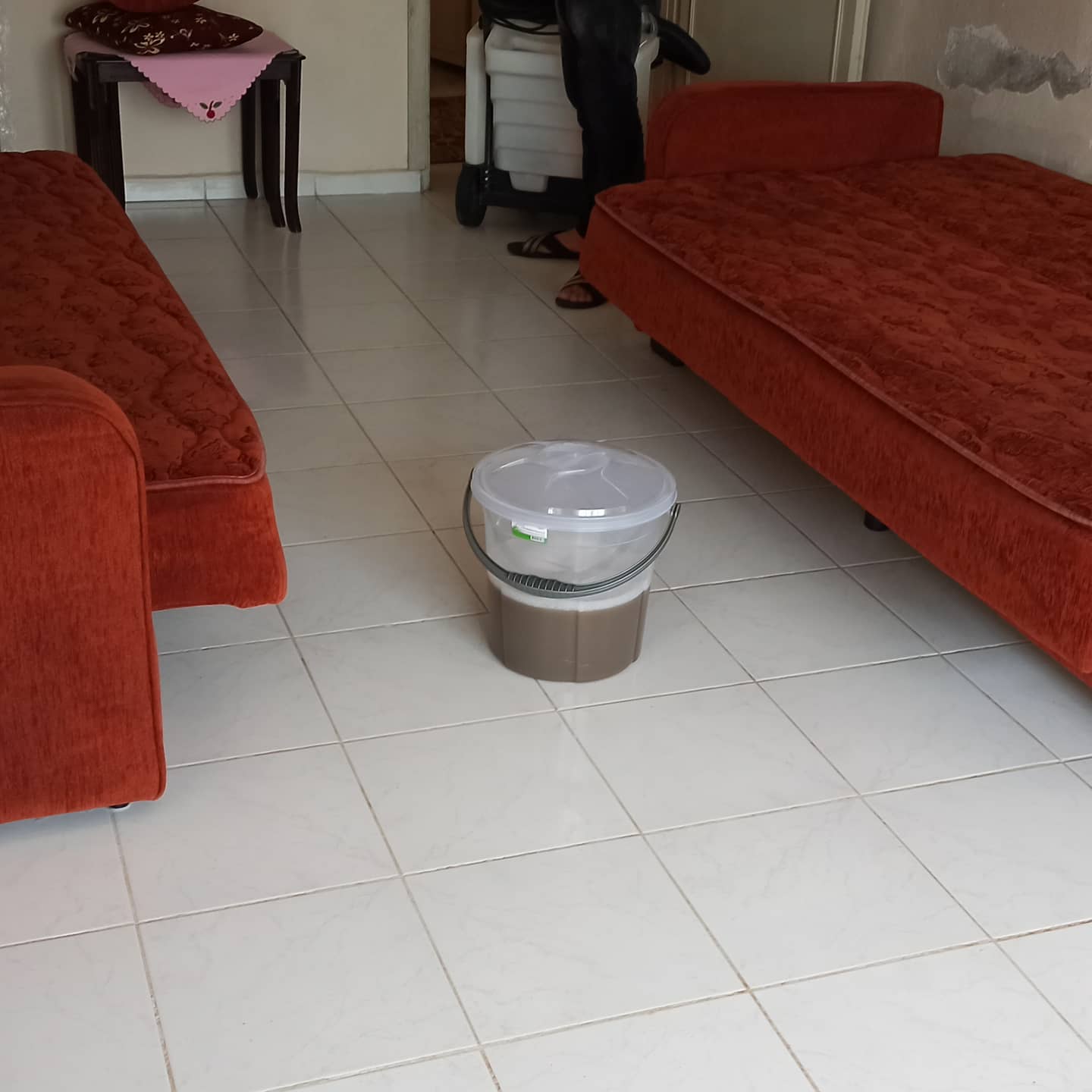 Gürbüz Koltuk ve Halı Yıkamada Şok Kampanya