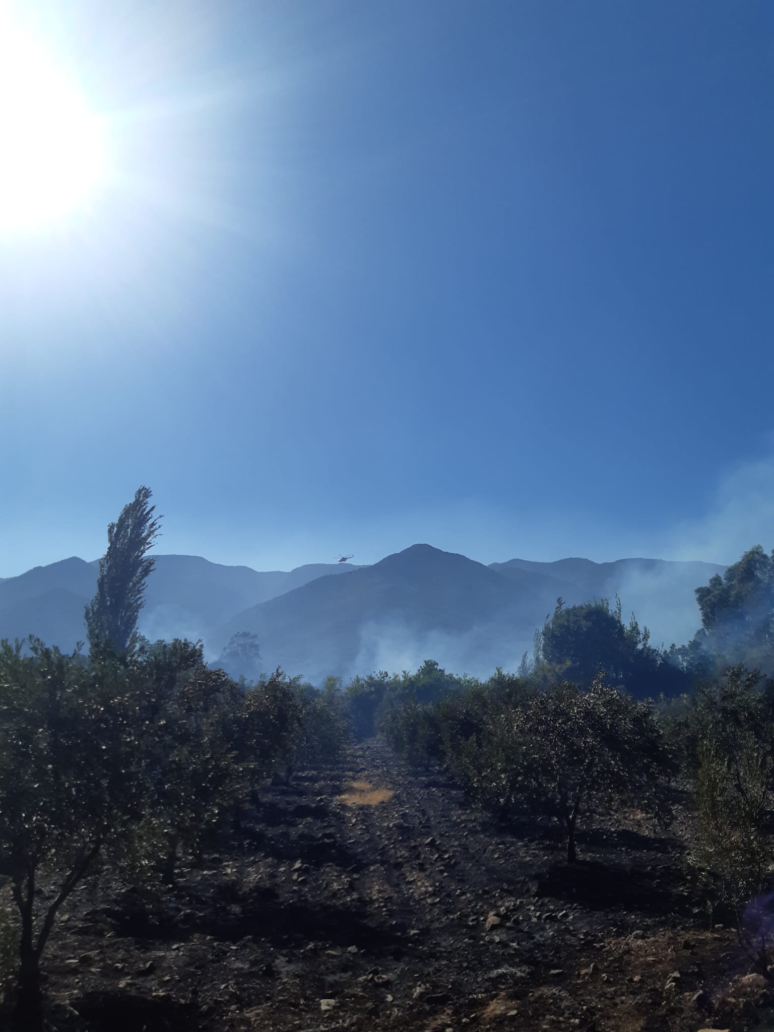 İTFAİYE EKİPLERİNİN HIZLI MÜDAHALESİ İLE YANGIN KISA SÜREDE SÖNDÜRÜLDÜ