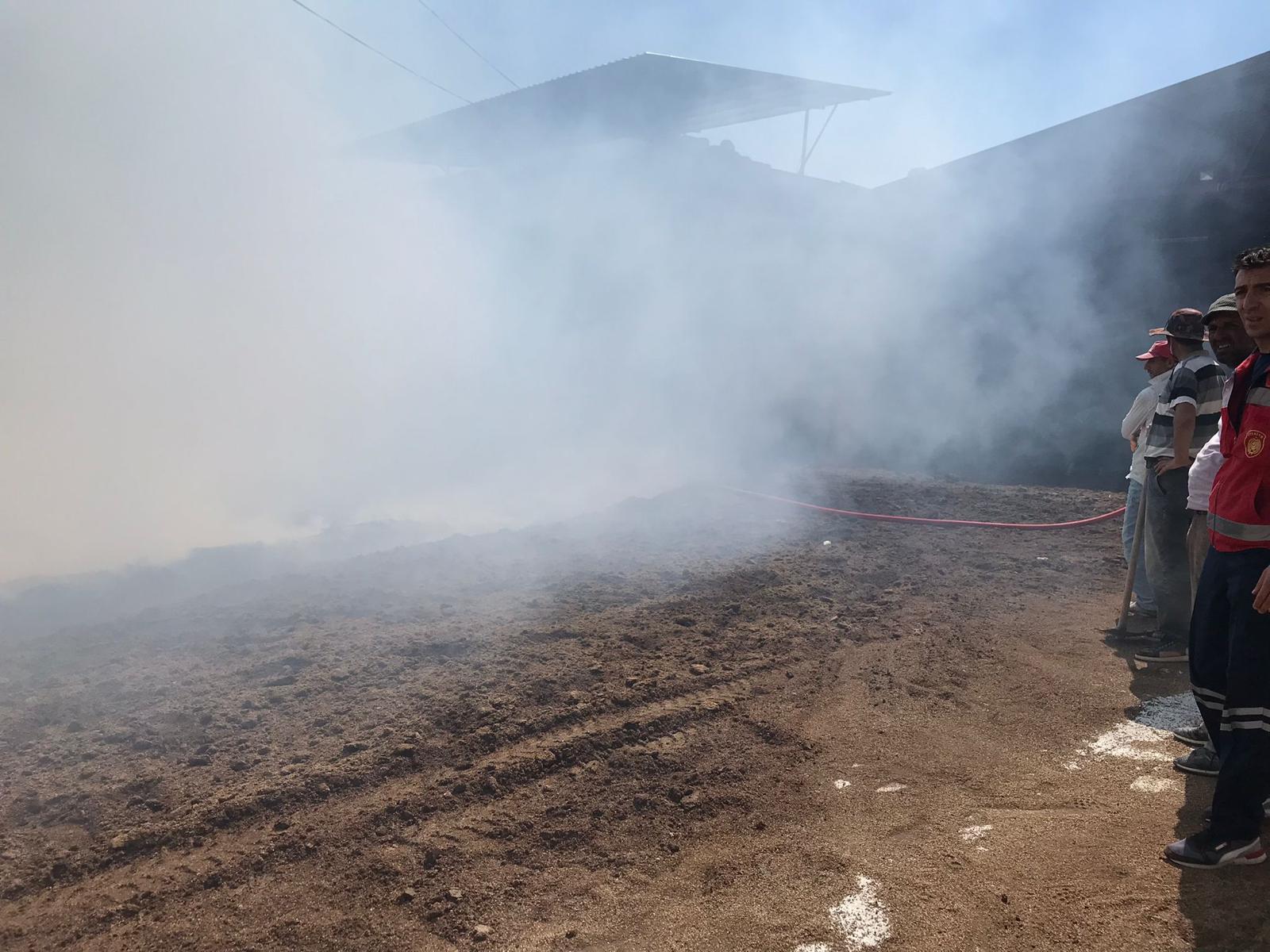 YAYLADAĞI&rsquo;NDA &Ccedil;IKAN YANGIN S&Ouml;ND&Uuml;R&Uuml;LD&Uuml;