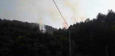 Soğukolukta Orman Yangını &Ccedil;ıktı