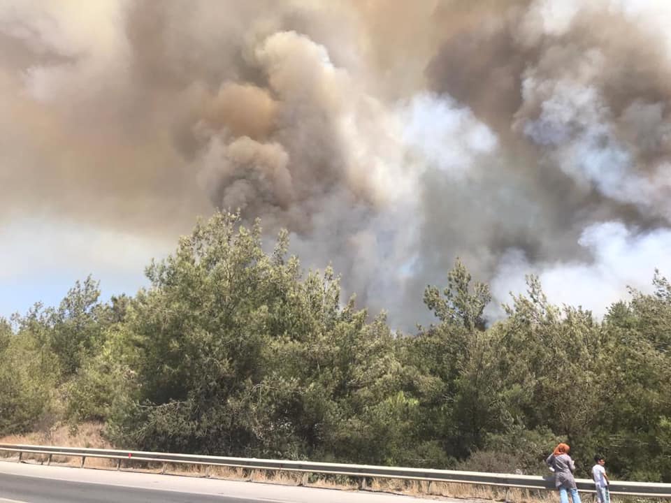 Dörtyol&#8217;da Yangın Başladı