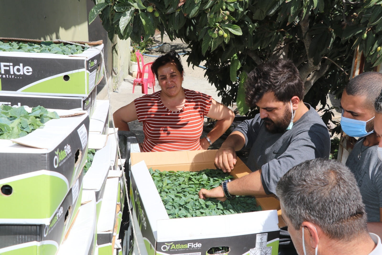 SERA TARIMINA KADIN ELİ DEĞDİ