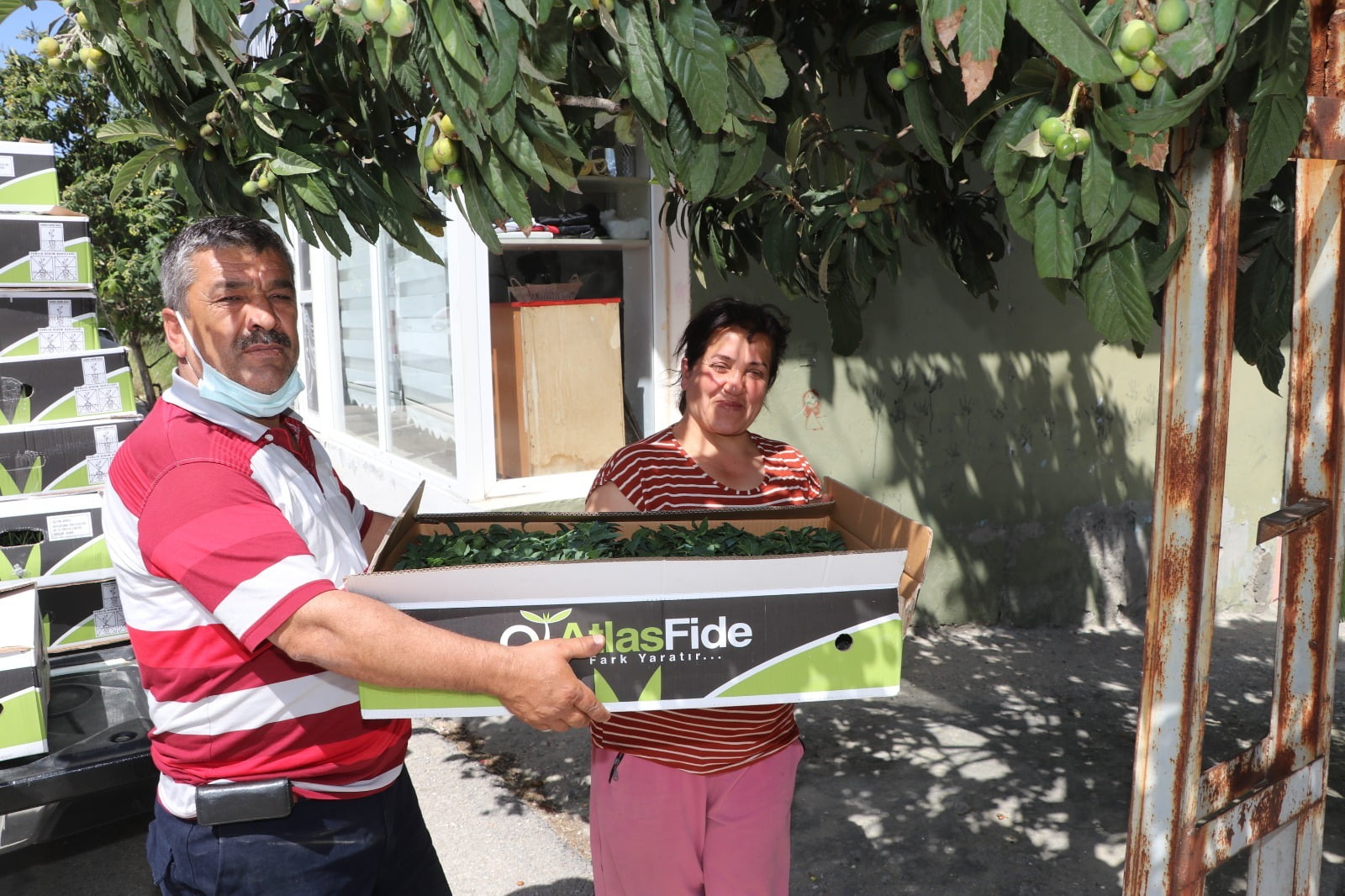 SERA TARIMINA KADIN ELİ DEĞDİ