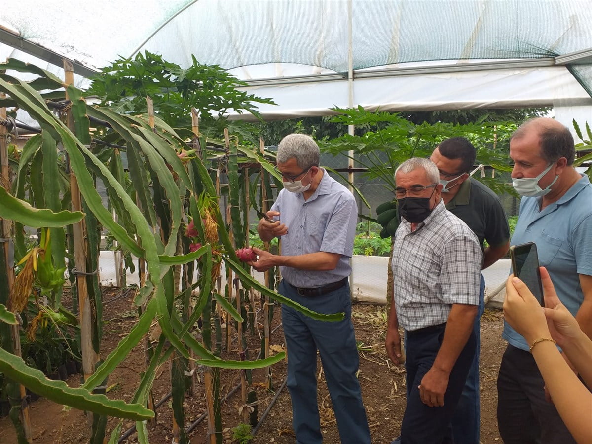 Payas Kaymakamından Tropikal Meyve Bah&ccedil;esine Ziyaret