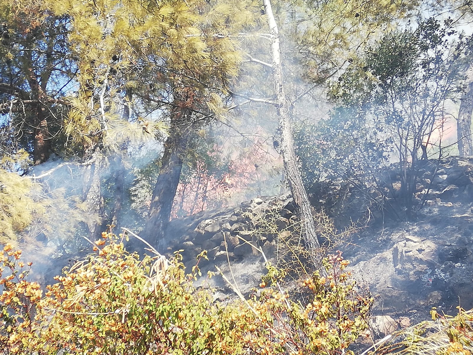 HBB İTFAİYESİNDEN İKİ YANGINA ANINDA M&Uuml;DAHALE