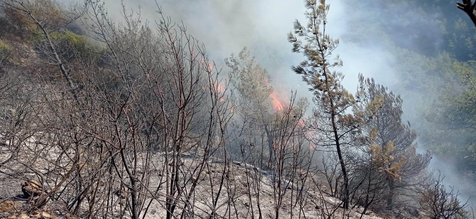 HBB İTFAİYESİNDEN İKİ YANGINA ANINDA MÜDAHALE