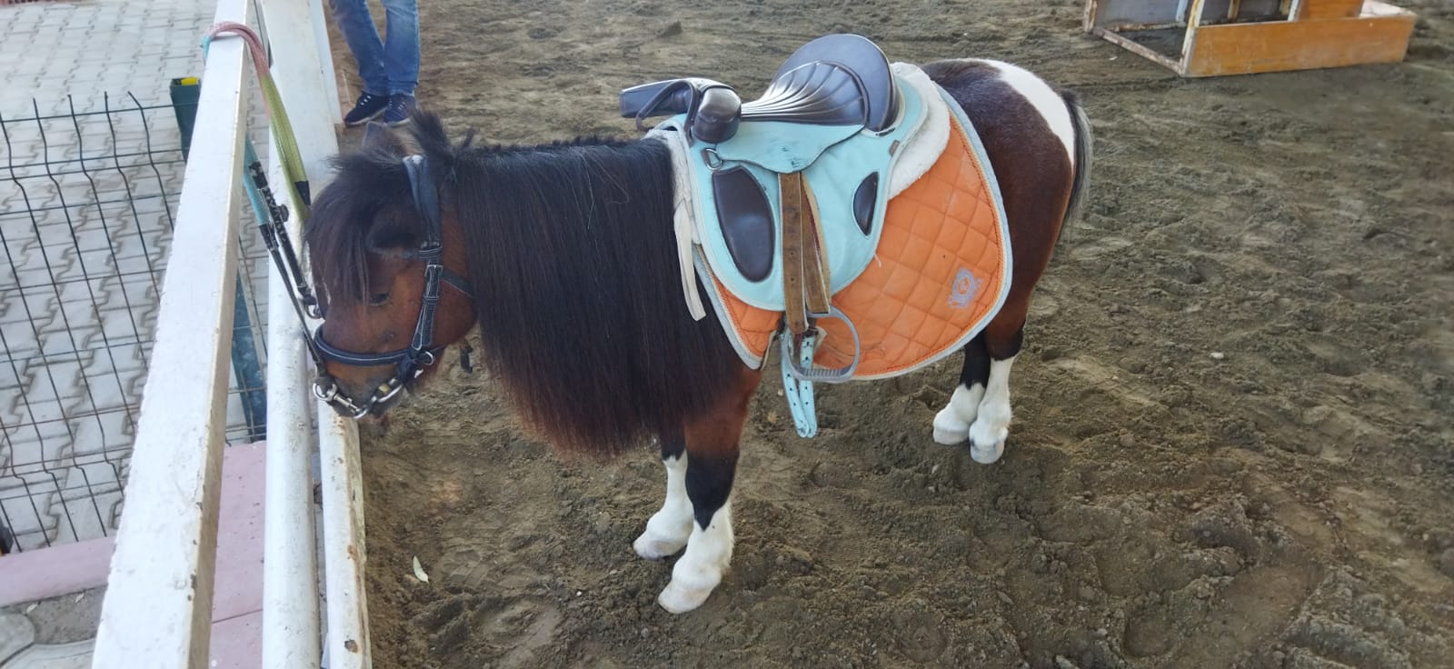 İSKENDERUN ATLI SPOR KULUB&Uuml;NDEN BASINA KAHVALTI