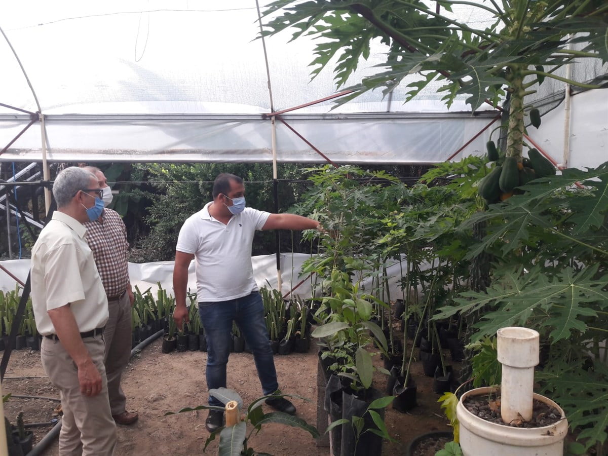 Payas Kaymakamı Dr. Polat Kara, Ejder ve Papaya Meyvesi Üreticisini Ziyaret Etti