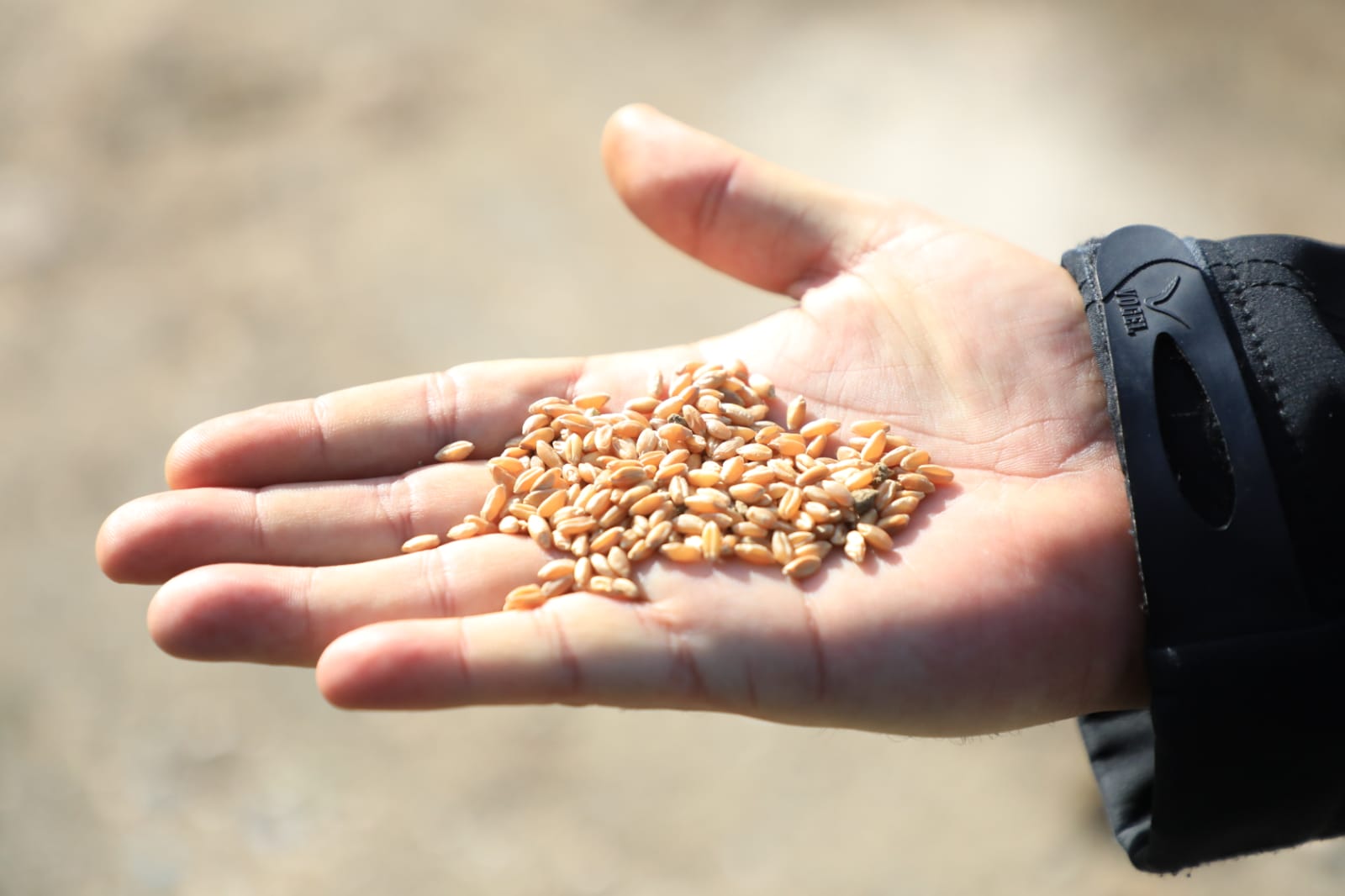 HATAY&rsquo;IN TOPRAKLARI ANALİZ EDİLDİ