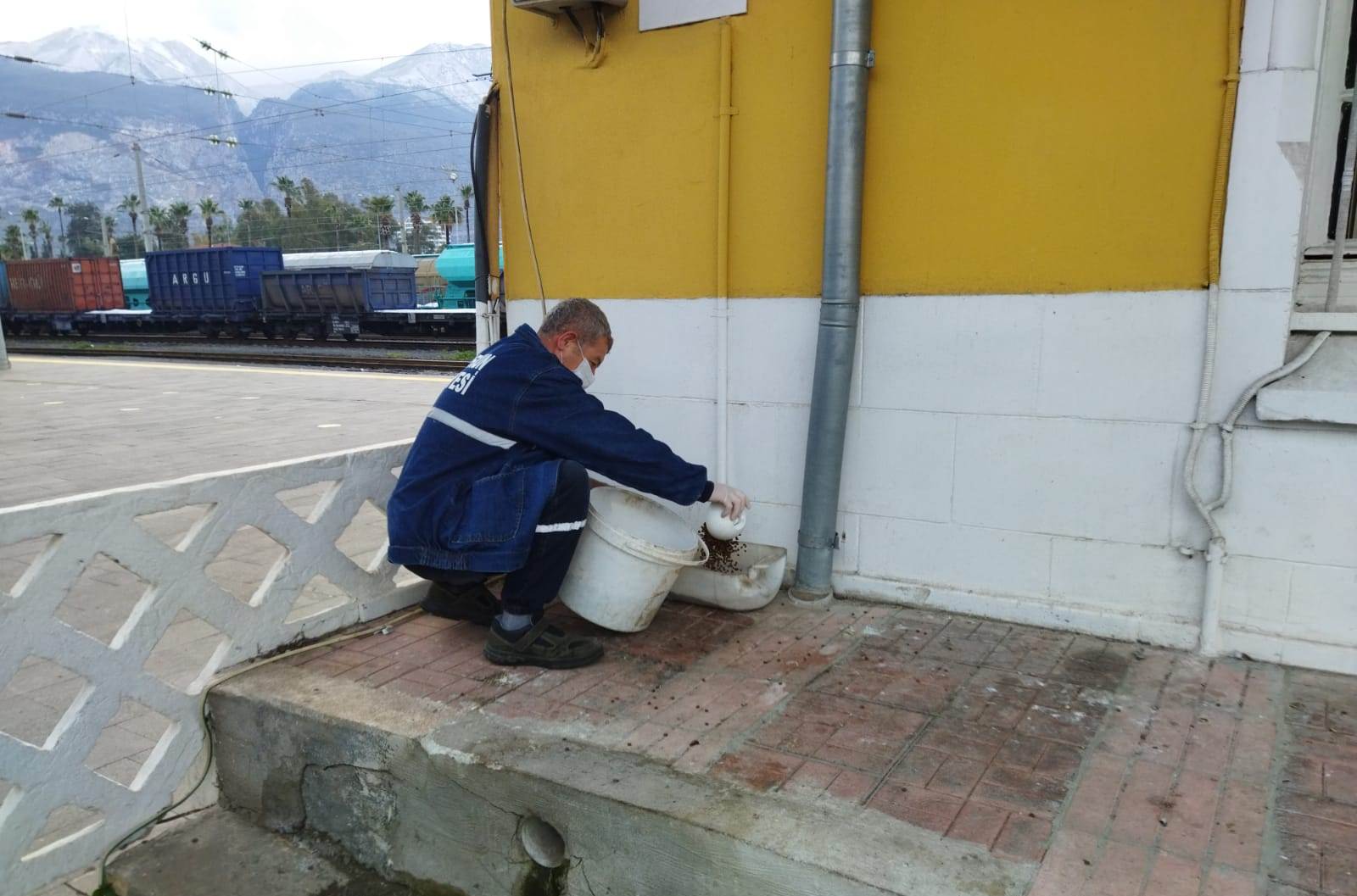 Fatih Tosyalı, Sokakta yaşayan hayvanlarımıza sahip &ccedil;ıkmaya devam ediyoruz