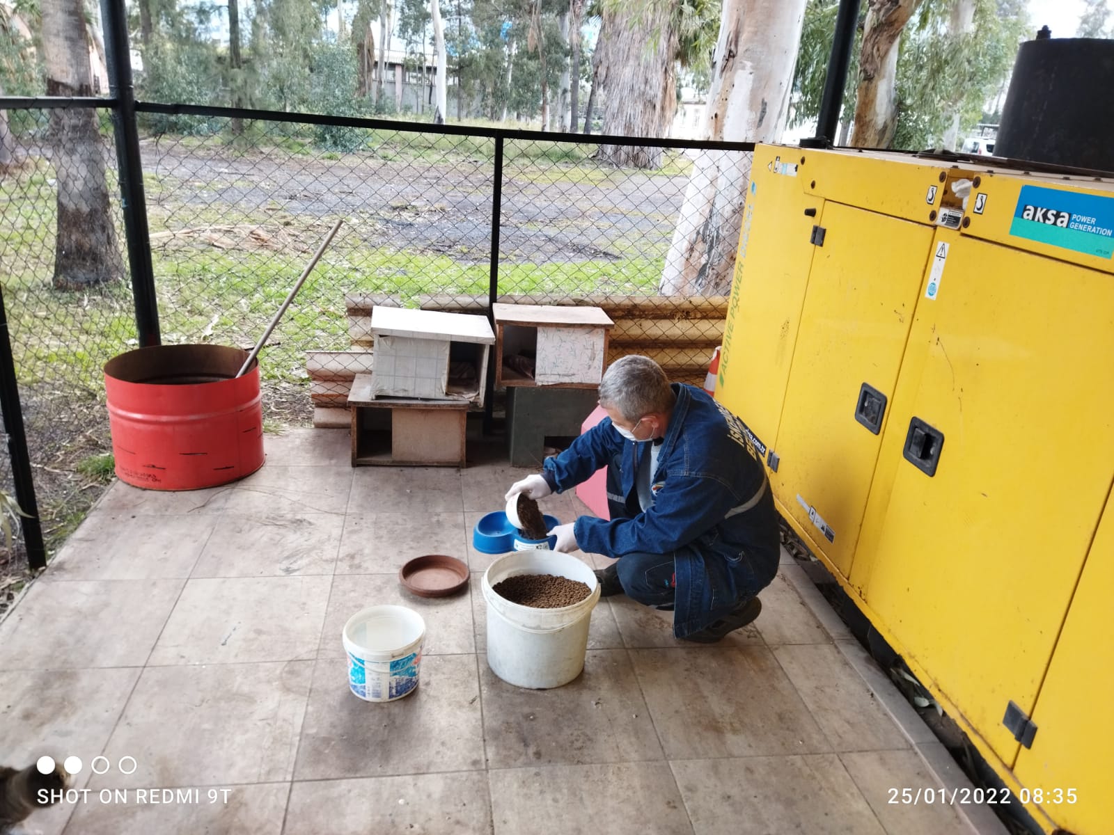 Fatih Tosyalı, Sokakta yaşayan hayvanlarımıza sahip &ccedil;ıkmaya devam ediyoruz