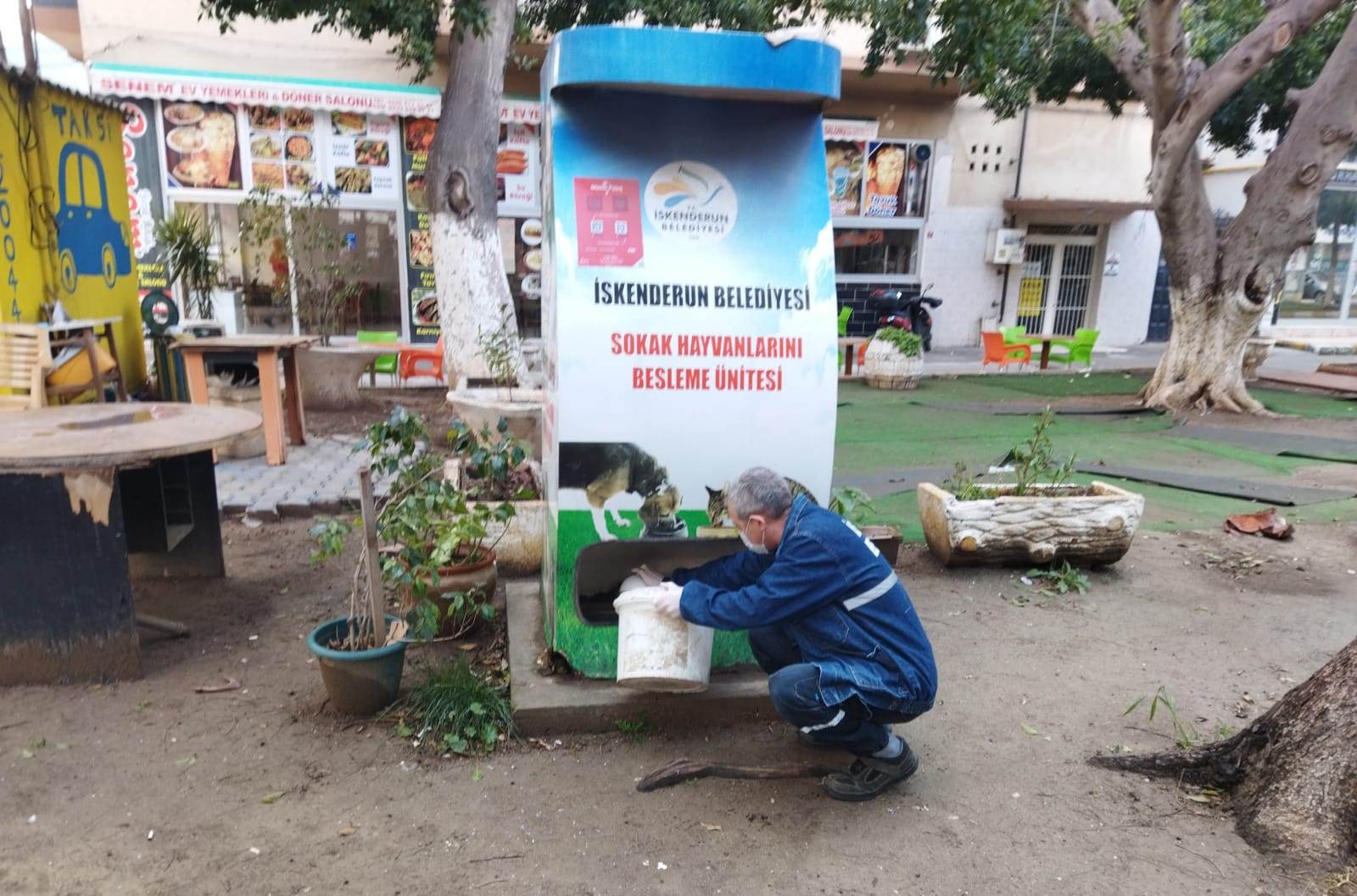 Fatih Tosyalı, Sokakta yaşayan hayvanlarımıza sahip &ccedil;ıkmaya devam ediyoruz