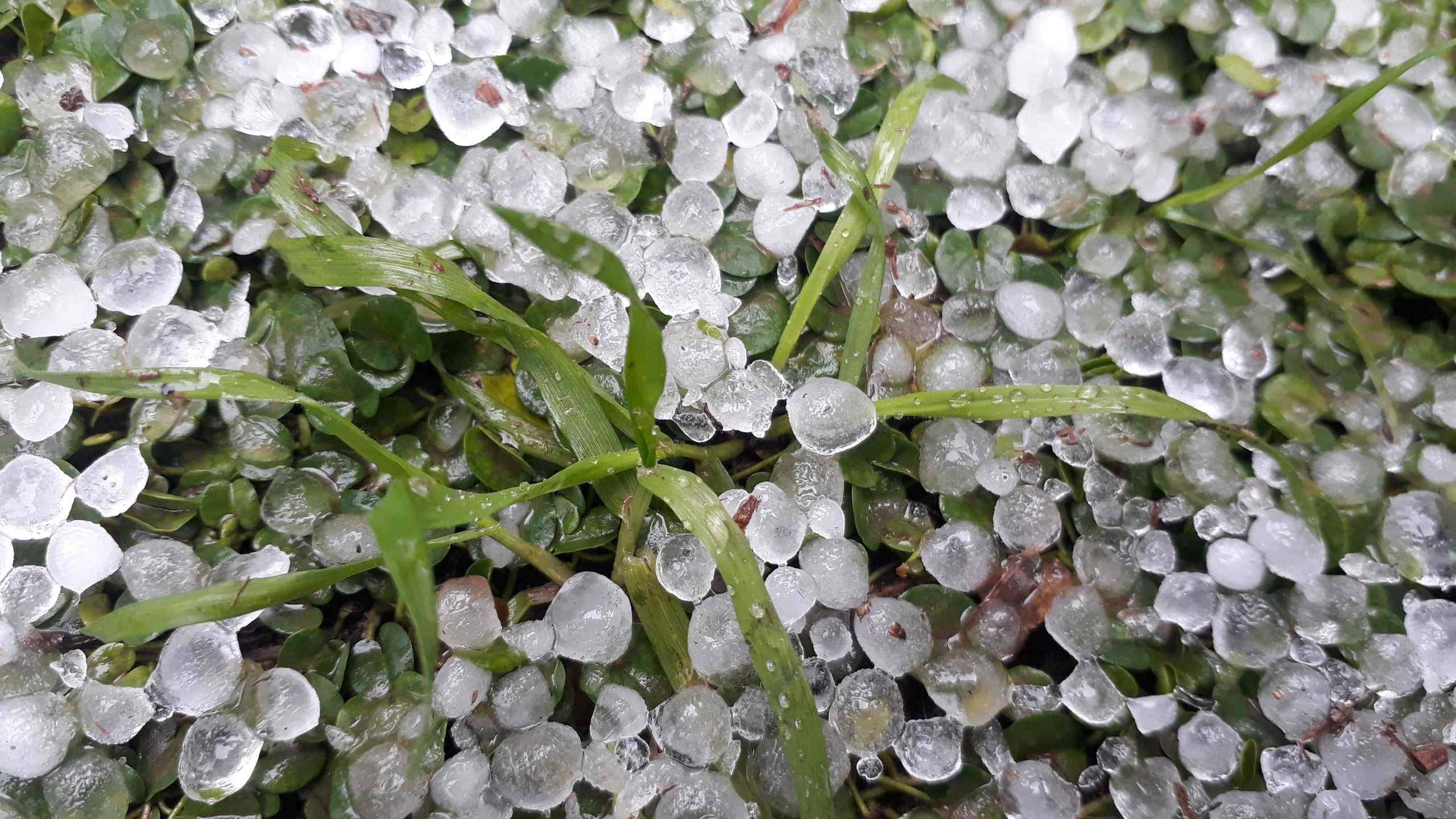 İskenderun&rsquo;a Dolu Yağdı Kaldırımlar Beyaza B&uuml;r&uuml;nd&uuml;