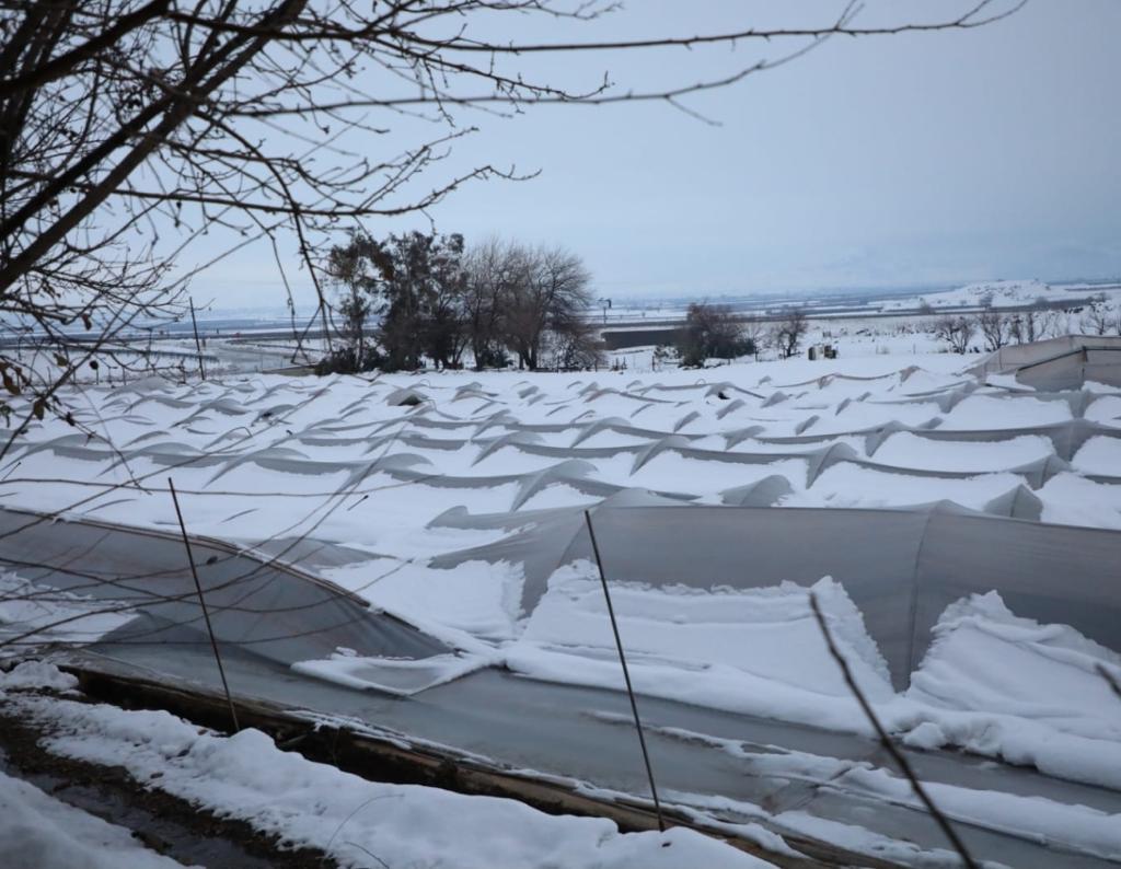 CHP&rsquo;den &ldquo;Hassa Afet B&ouml;lgesi İlan Edilsin&rdquo; Teklifi