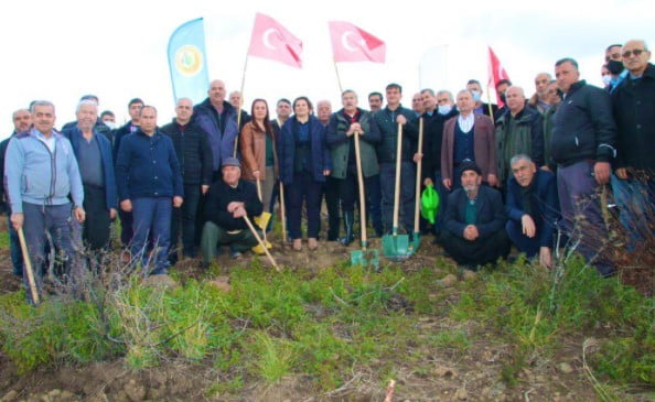 YANAN BÖLGELER TAMAMEN AĞAÇLANDIRILIYOR