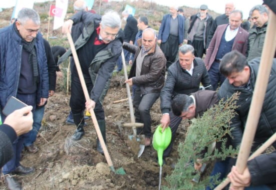 YANAN BÖLGELER TAMAMEN AĞAÇLANDIRILIYOR