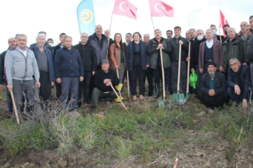 YANAN BÖLGELER TAMAMEN AĞAÇLANDIRILIYOR