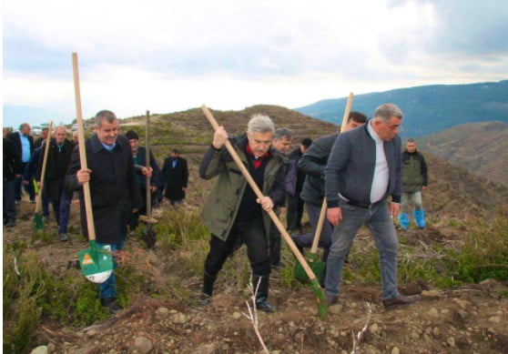 YANAN BÖLGELER TAMAMEN AĞAÇLANDIRILIYOR