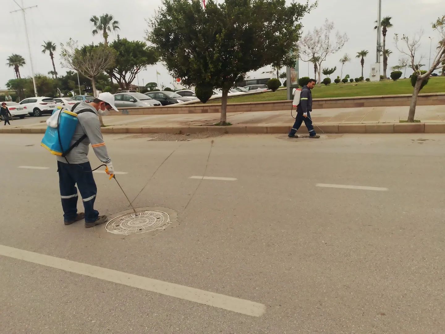 İSKENDERUN BELEDİYESİ LARVA MÜCADELESİ BAŞLATTI