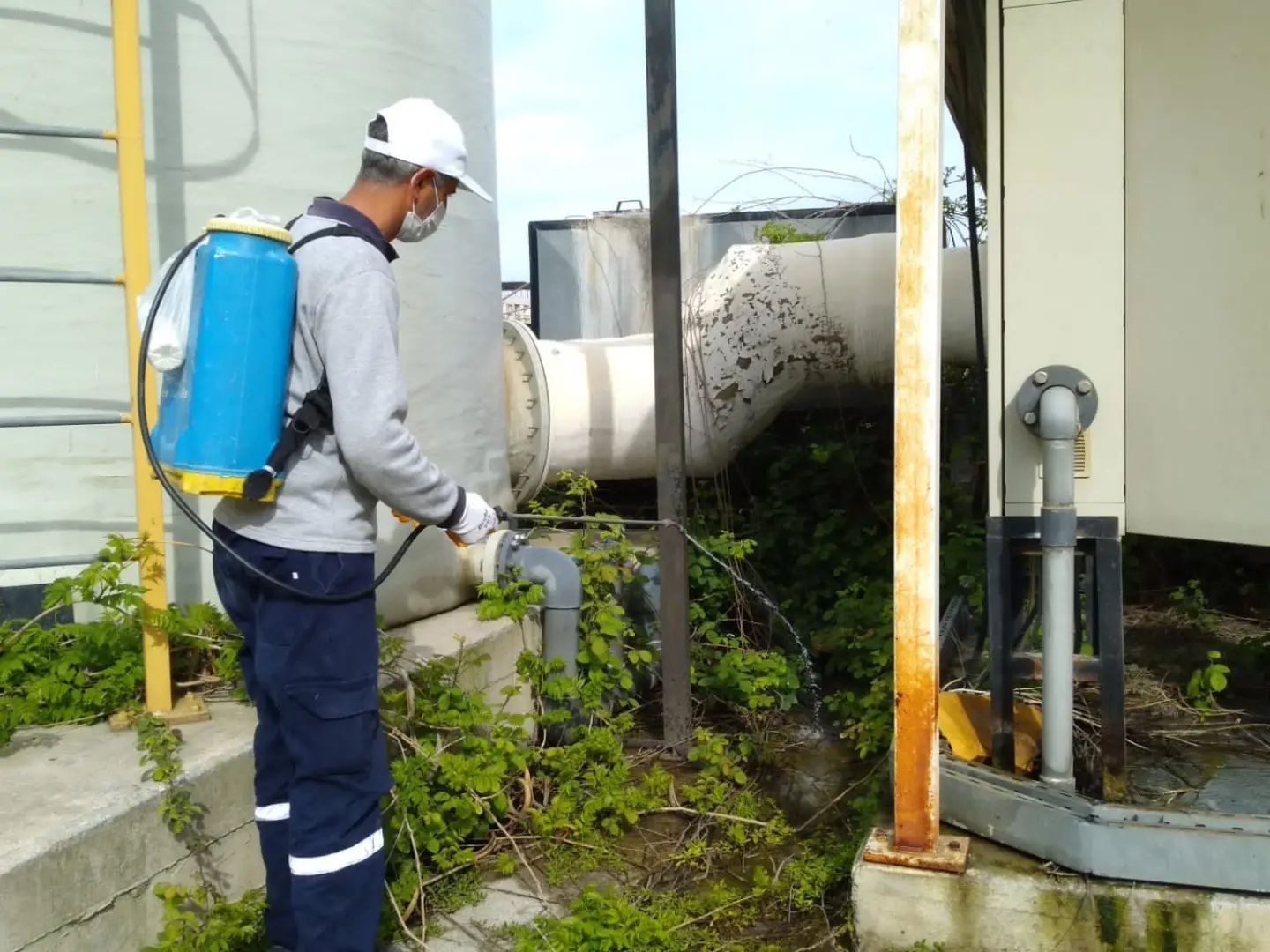 İSKENDERUN BELEDİYESİ LARVA MÜCADELESİ BAŞLATTI