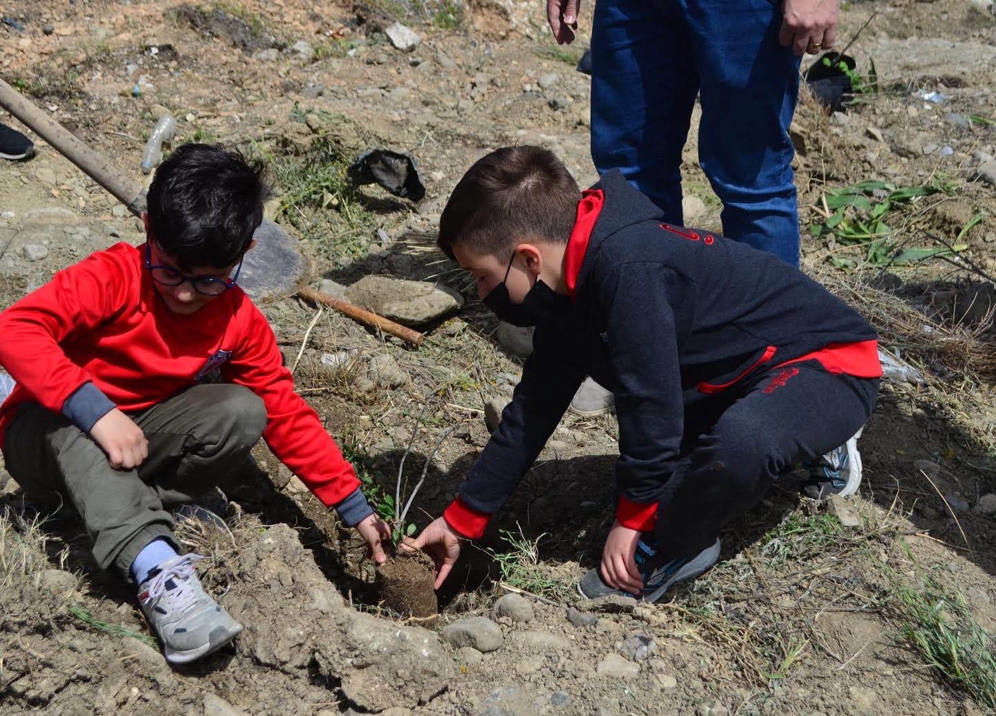 YANGINDA ZARAR GÖREN ORMAN ARAZİLERİ YENİDEN  AĞAÇLANDIRILIYOR