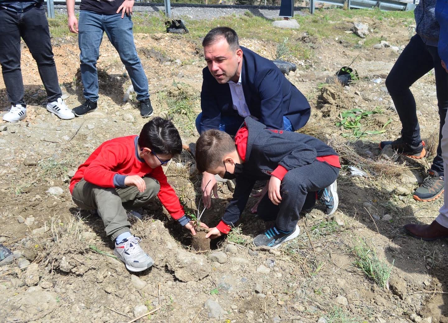 YANGINDA ZARAR GÖREN ORMAN ARAZİLERİ YENİDEN AĞAÇLANDIRILIYOR