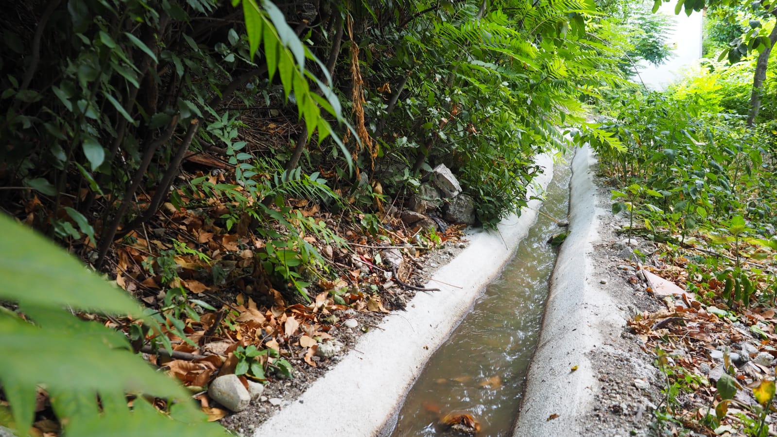 HBB&rsquo;NİN TARIMA DESTEĞİ S&Uuml;R&Uuml;YOR