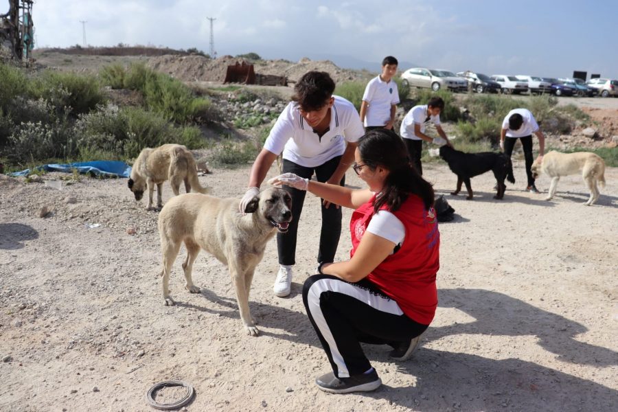 HAYVANLARI KORUMA ETKİNLİĞİ DÜZENLENDİ