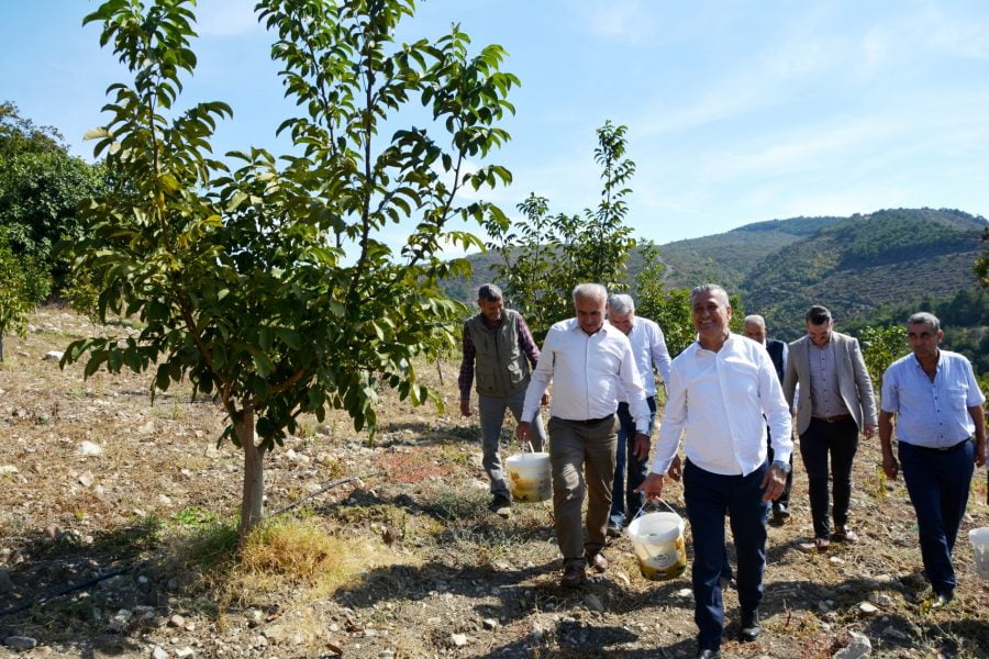 Belen Belediye Başkanı İbrahim G&uuml;l; Benlidere Ceviz Bah&ccedil;emizde, &ldquo;Hasat Zamanı&rdquo;