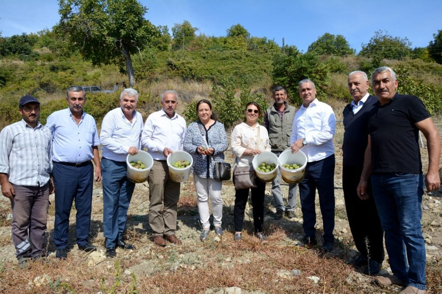 Belen Belediye Başkanı İbrahim G&uuml;l; Benlidere Ceviz Bah&ccedil;emizde, &ldquo;Hasat Zamanı&rdquo;