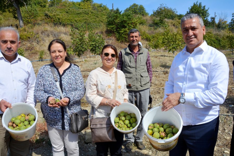 Belen Belediye Başkanı İbrahim G&uuml;l; Benlidere Ceviz Bah&ccedil;emizde, &ldquo;Hasat Zamanı&rdquo;