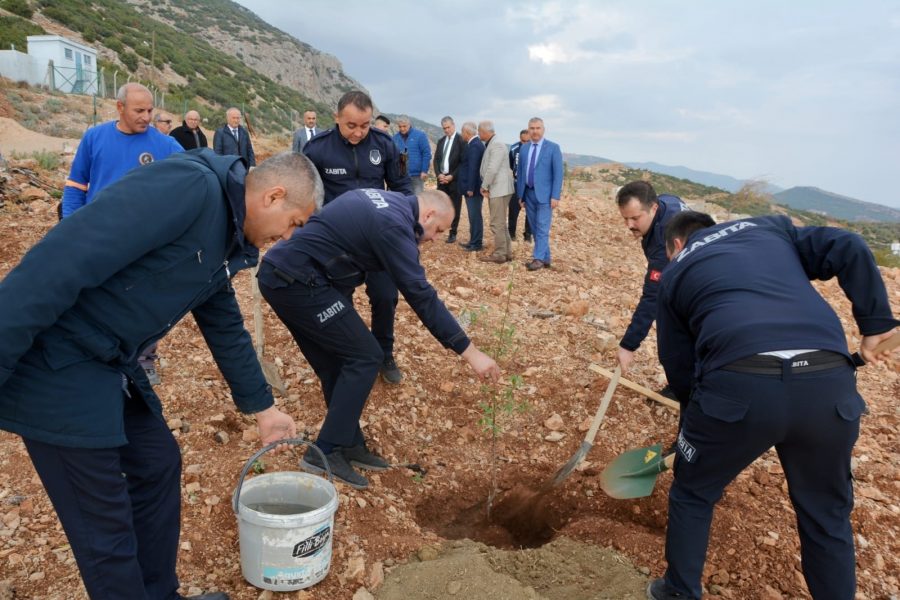 Belen Belediye Başkanı İbrahim G&uuml;l; Atıl Belediye Arazilerine Hayat Veriyor&hellip;