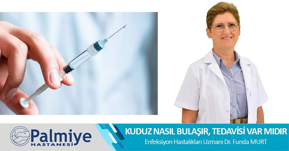 KUDUZ NASIL BULAŞIR, TEDAVİSİ VAR MIDIR?
