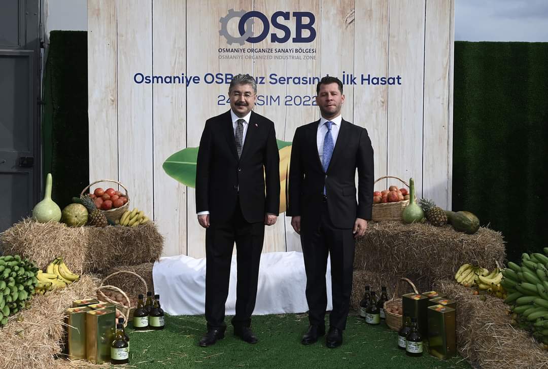 OSMANİYE OSB MUZ SERASINDA İLK HASAT GER&Ccedil;EKLEŞTİRİLDİ