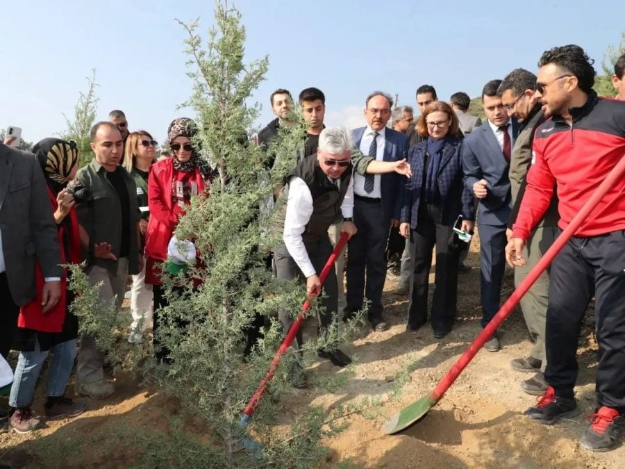 Hatay’da 24 bin 630 fidan dikildi