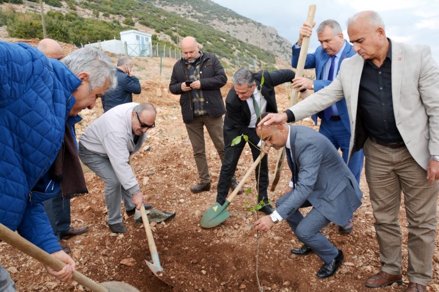 Belen Belediye Başkanı İbrahim G&uuml;l; Atıl Belediye Arazilerine Hayat Veriyor&hellip;