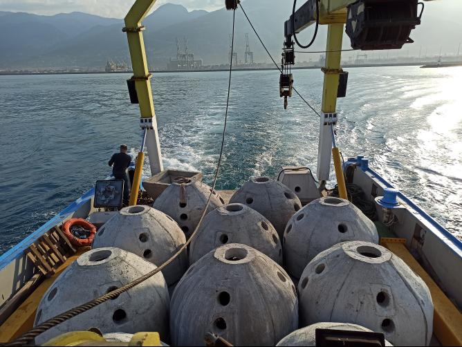 YAPAY İLK RESİFLER İSKENDERUN KÖRFEZİNE BIRAKILDI