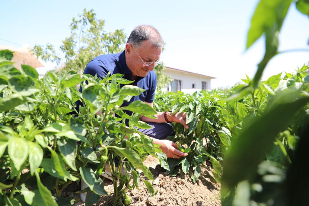 HATAYLILAR SIKINTILARI EL BİRLİĞİYLE AŞACAK