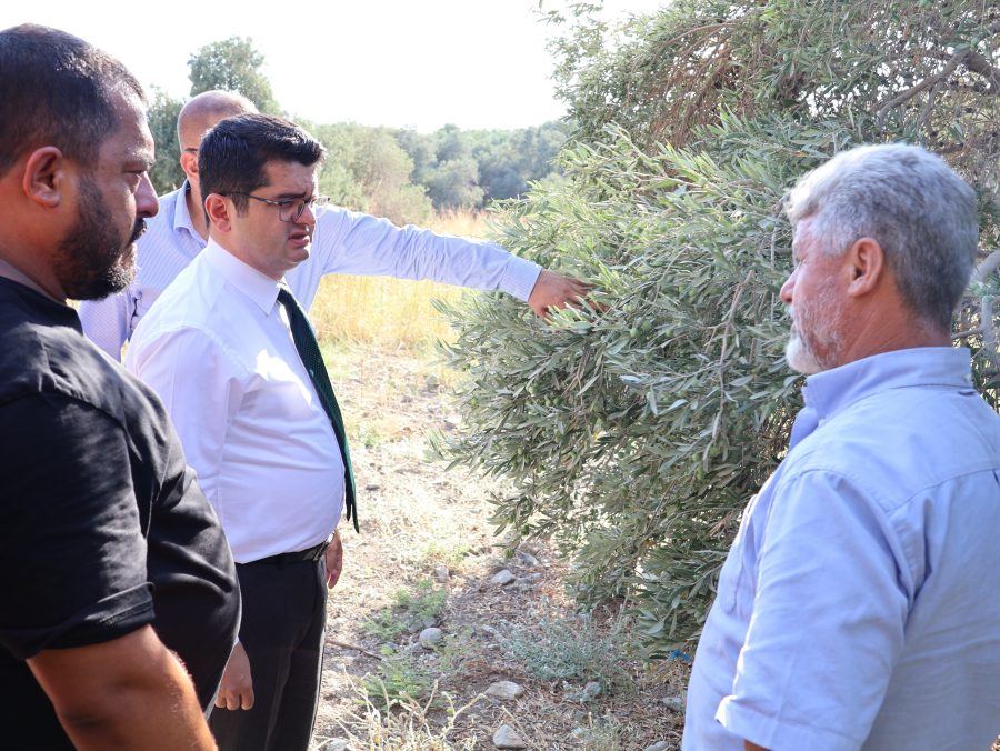 Arsuz Zeytinciliğinin Kalbi Fatih Eroğlu’nun Ziyaretinde Attı